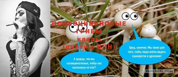 apvp Балахна