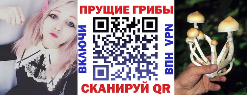 Галлюциногенные грибы Magic Shrooms  Озёрск 